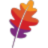 Apache HTTP Server logo