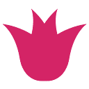 WideBundle logo