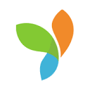 Yii logo